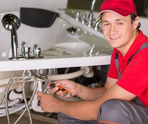 About Emergency plumbing pros Lu Verne, IA